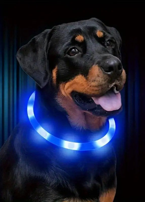 COLLAR LED PARA MASCOTAS -  GlowPet™