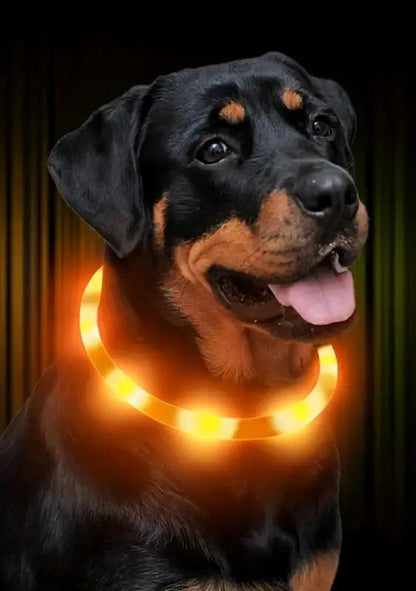 COLLAR LED PARA MASCOTAS -  GlowPet™