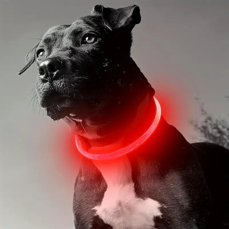 COLLAR LED PARA MASCOTAS -  GlowPet™