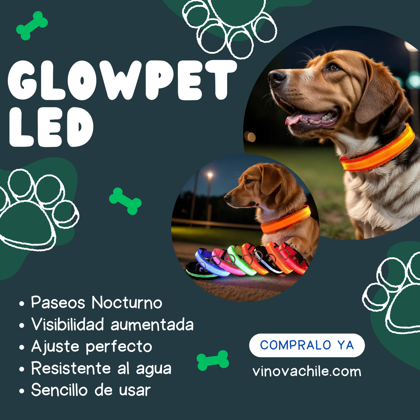 COLLAR LED PARA MASCOTAS -  GlowPet™