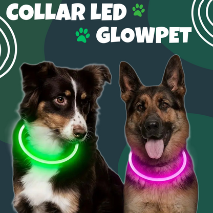 COLLAR LED PARA MASCOTAS -  GlowPet™